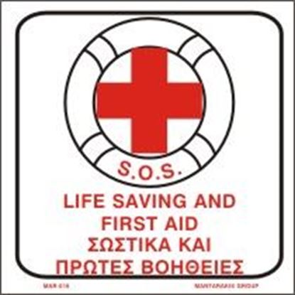 Picture of LIFE SAVING AND FIRST AID 20X20
