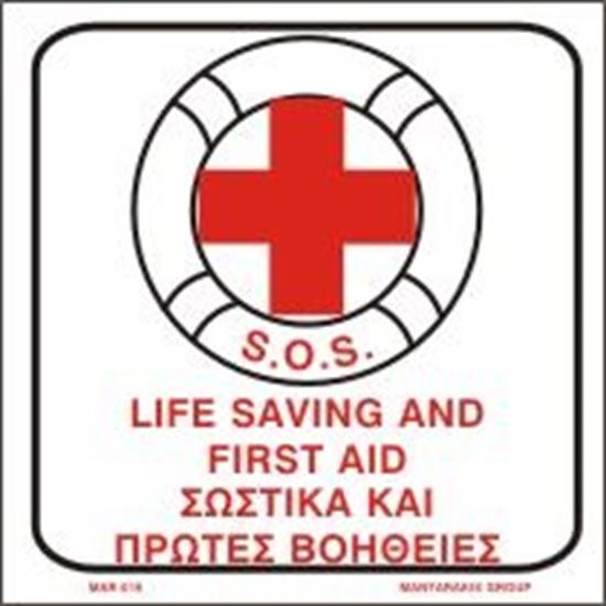 Picture of LIFE SAVING AND FIRST AID 20X20