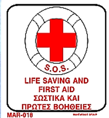 Picture of Life Saving and First Aid 20x20