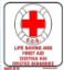 Picture of Life Saving and First Aid 20x20