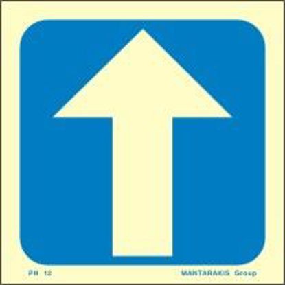 Εικόνα της ARROW STRAIGHT SIGN 15x15 BLUE