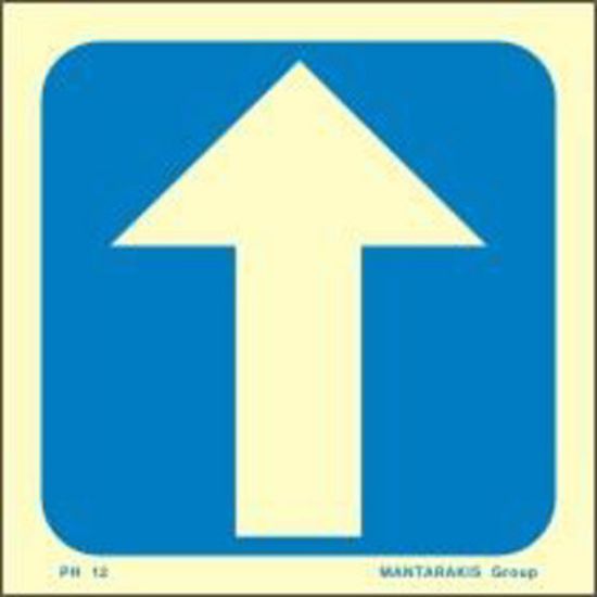 Picture of ARROW STRAIGHT SIGN 15x15 BLUE