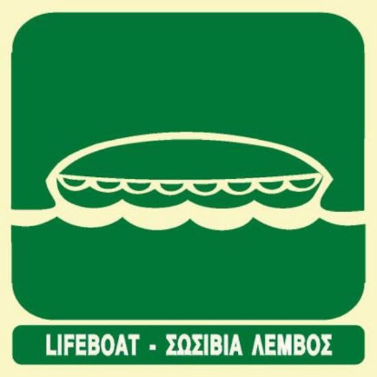 Picture of LifeBoat 30x30