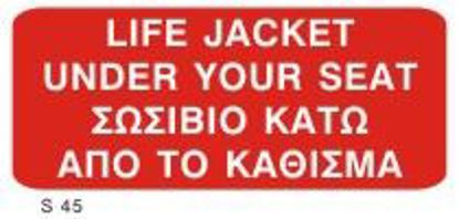 Εικόνα της LifeJacket under your Seat 10x20