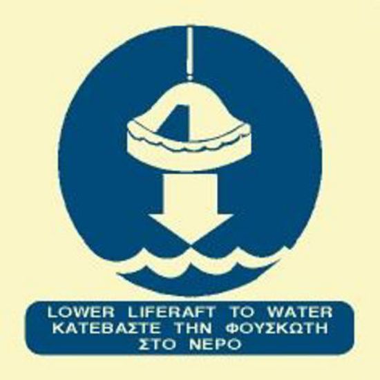 Picture of Lower LifeRaft to Water 15x15