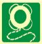 Picture of LifeBuoy with Line 15x15