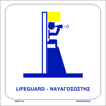 Picture of LifeGuard 20x20