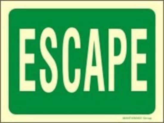 Picture of Escape 20x15