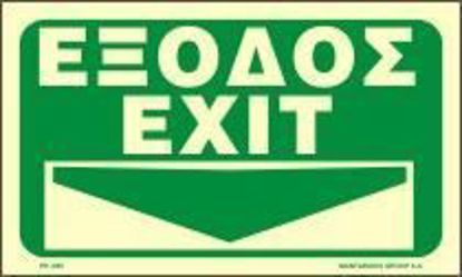 Εικόνα της Exit Down Arrow 25x25