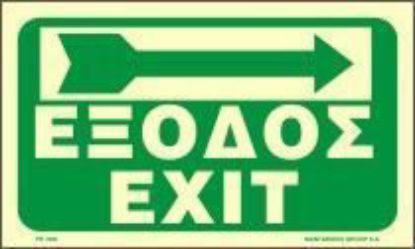 Εικόνα της Exit Right Arrow 15x25