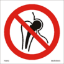 Picture of No access for persons with metallic implants 15 x 15