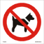 Picture of No dogs 15 x 15