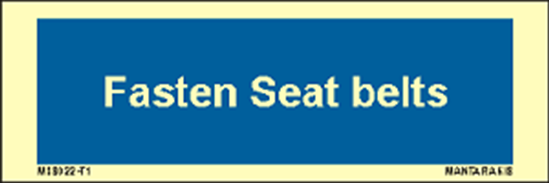 Picture of Text fasten seat belts 5 x 15