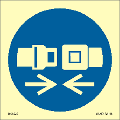 Picture of Wear safety belts 15 x 15