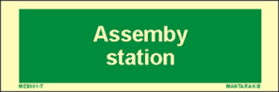 Picture of Text Assembly Station 5x15