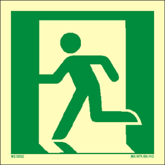 Picture of Emergency Exit (left hand) 15x15