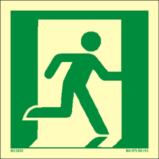 Picture of Emergency Exit (right hand) 15x15
