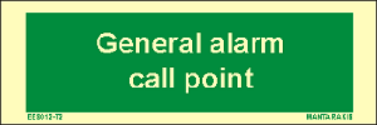 Εικόνα της Text General Alarm Call Point 5x15