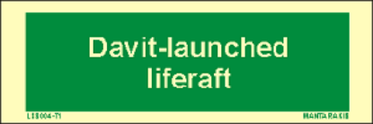 Εικόνα της Text Davit-Launched Liferaft 5x15