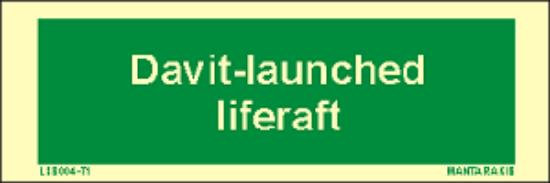 Picture of Text Davit-Launched Liferaft 5x15