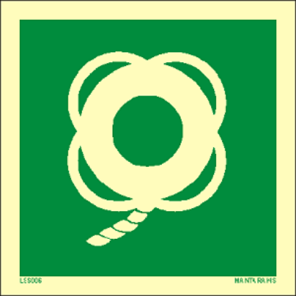 Εικόνα της Lifebuoy with Line 15x15