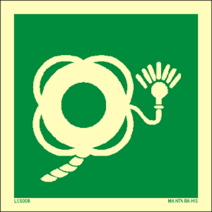 Picture of Lifebuoy with Line & Light 15x15