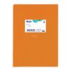 Picture of Skag Colored Plastic Notebook 50p. Striped