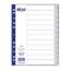 Picture of Separators with Months in English Skag