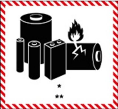 Εικόνα της Batteries 12x12