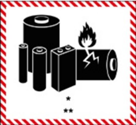 Εικόνα της Batteries 12x12