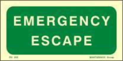 Εικόνα της Emergency Escape 10x20