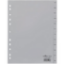 Picture of Separators with Months in English Durable