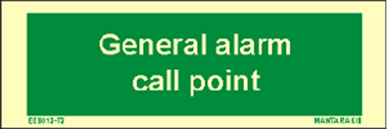 Picture of Text General Alarm Call Point 5 x 15