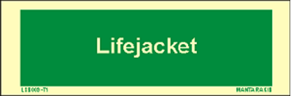 Εικόνα της Text Child's Lifejacket 5 x 15