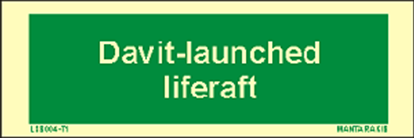 Εικόνα της Text Davit-Launched Liferaft 5 x 15