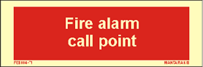 Picture of Text Fire Alarm Call Point 5 x 15