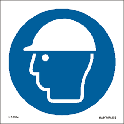 Picture of Wear head protection 15 x 15